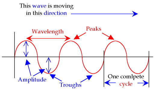 Transverse Wave