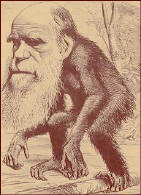 an ape with Darwin's head