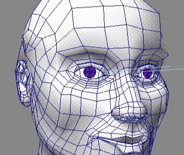 preview wireframe