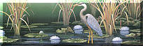 great blue heron in Florida art