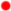reddot